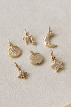 Zodiac Charm