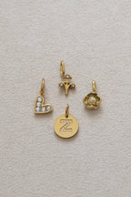 Zodiac Charm