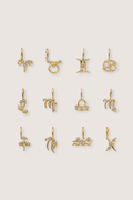 Zodiac Charm
