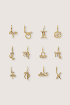 Zodiac Charm