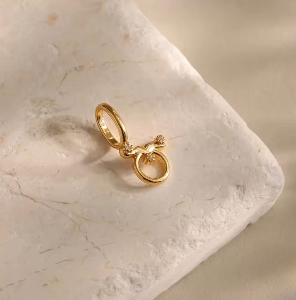 Zodiac Charm