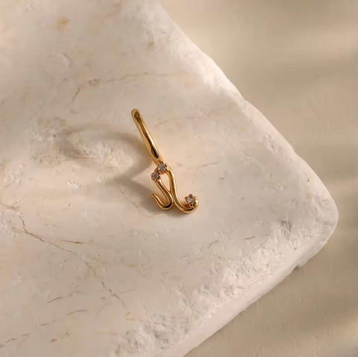 Zodiac Charm