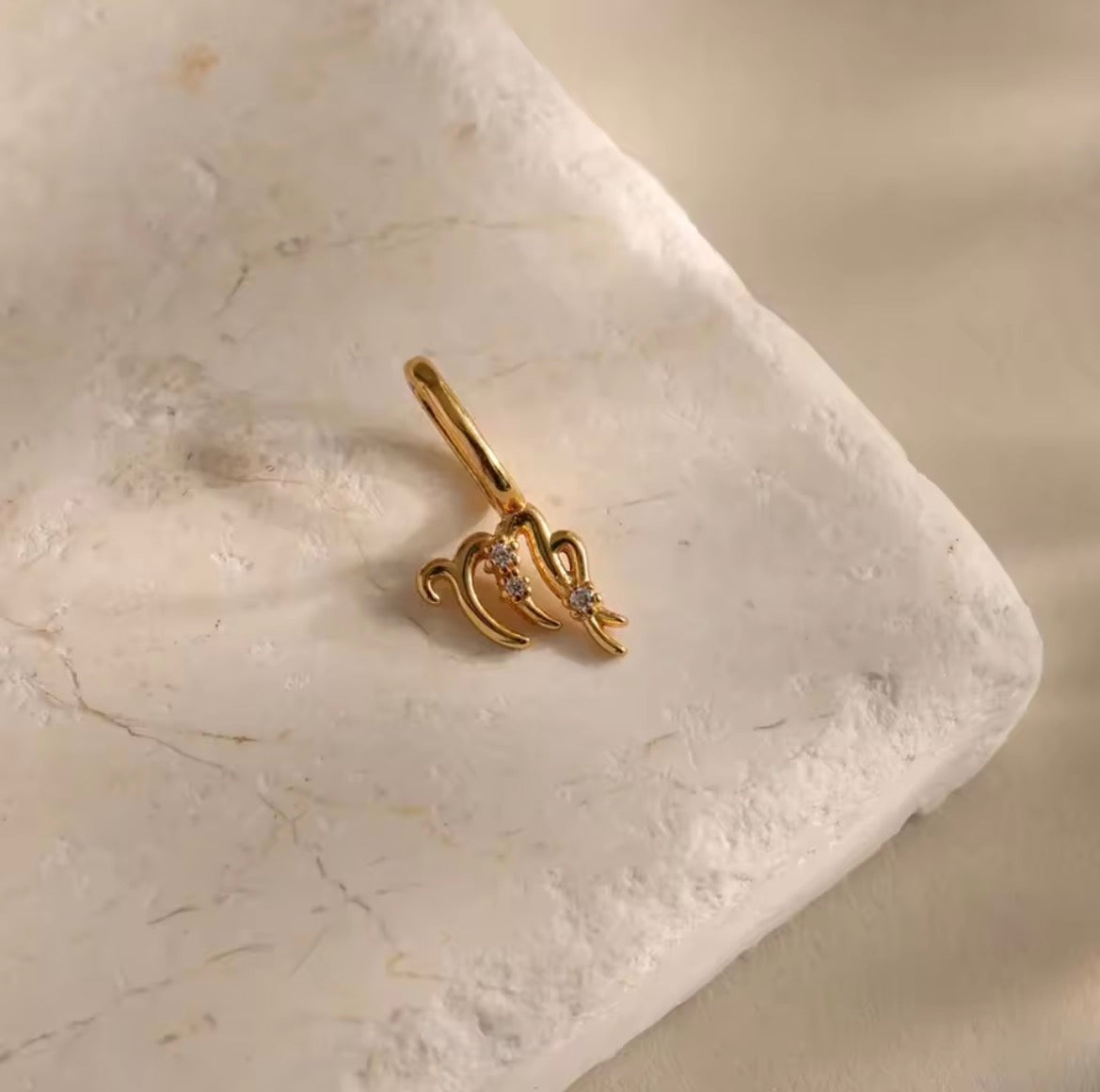 Zodiac Charm