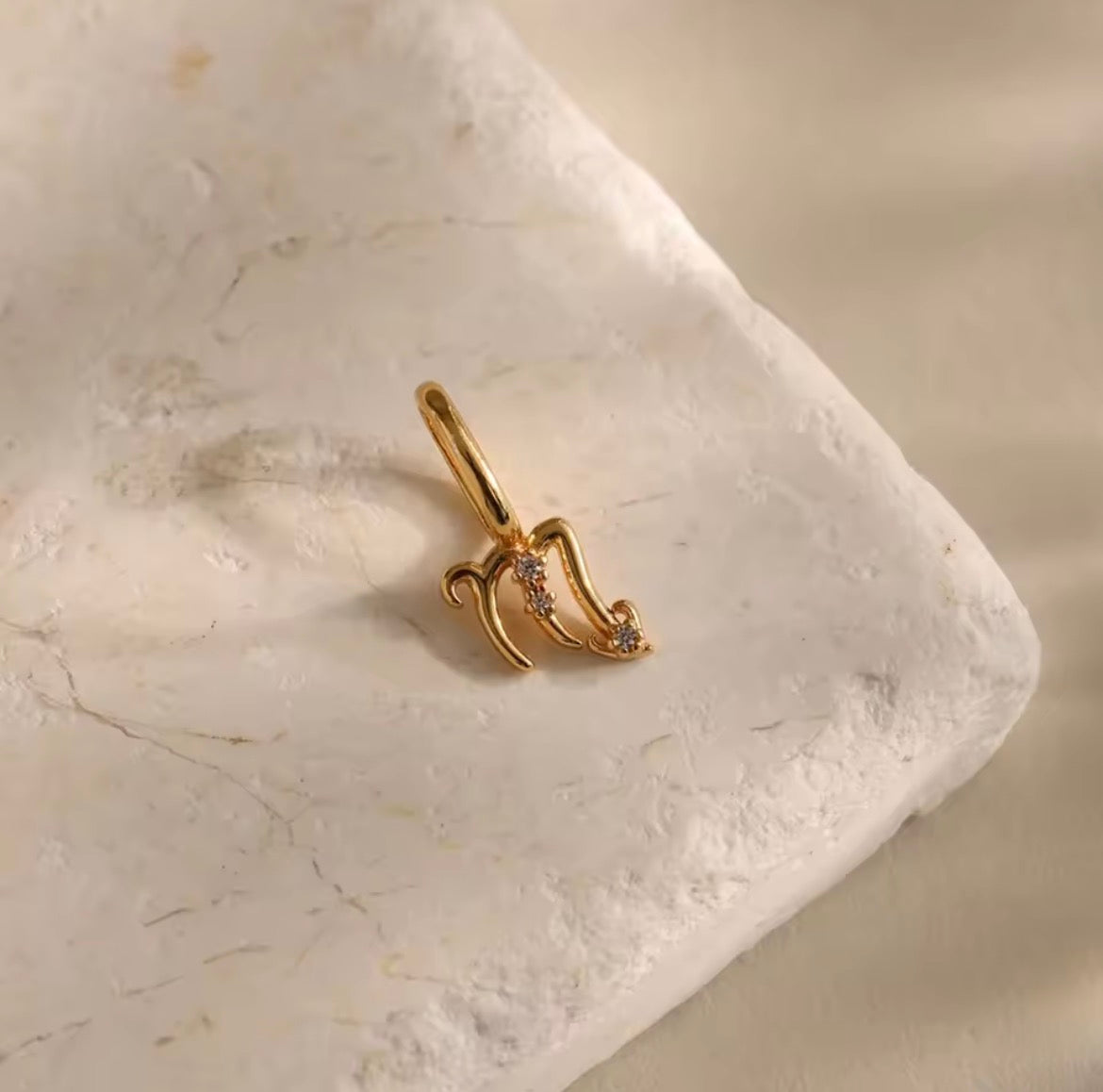 Zodiac Charm