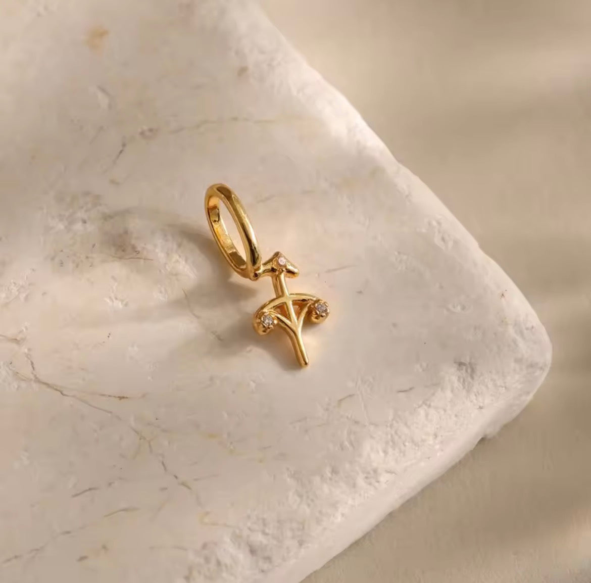 Zodiac Charm