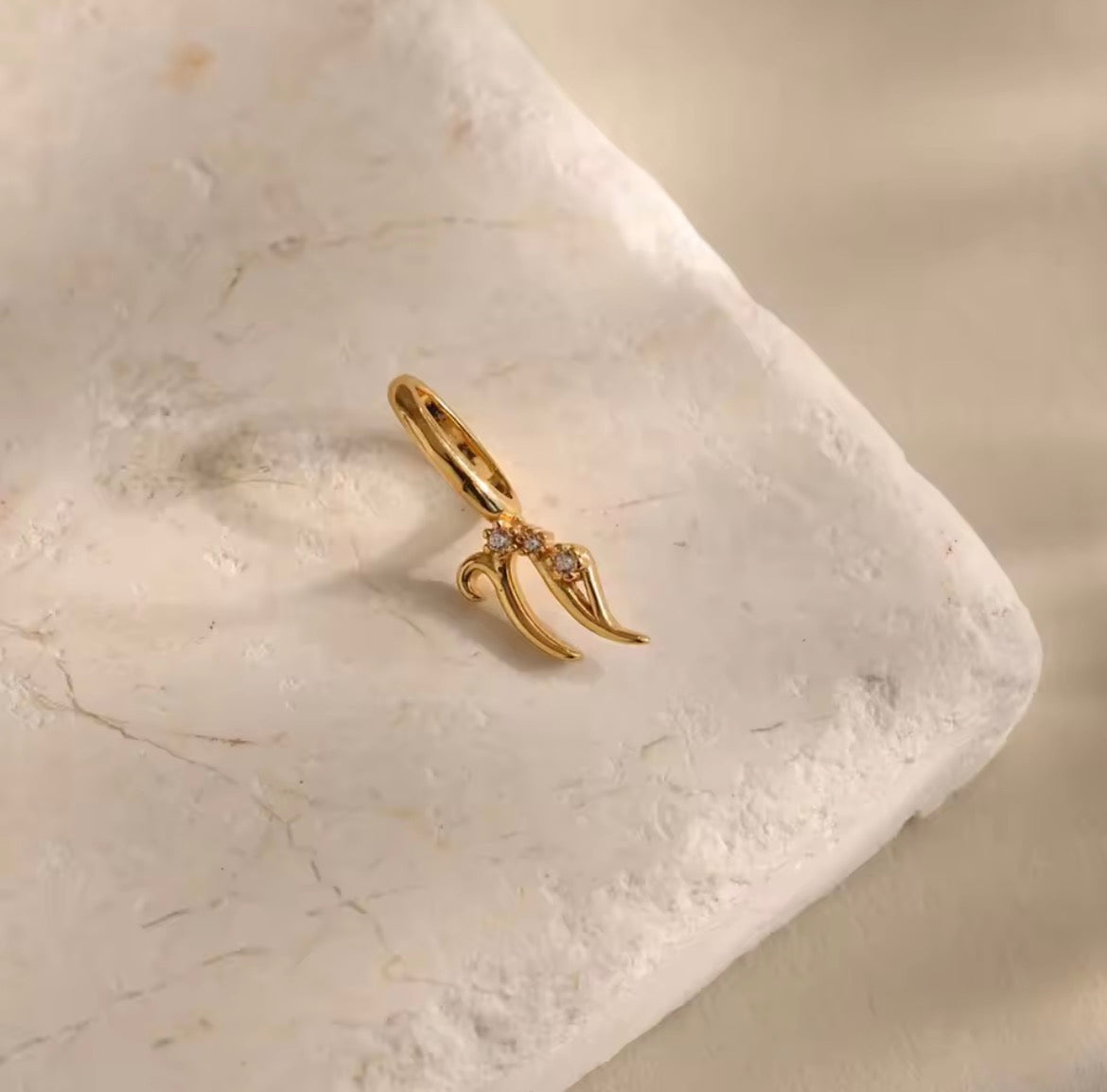 Zodiac Charm