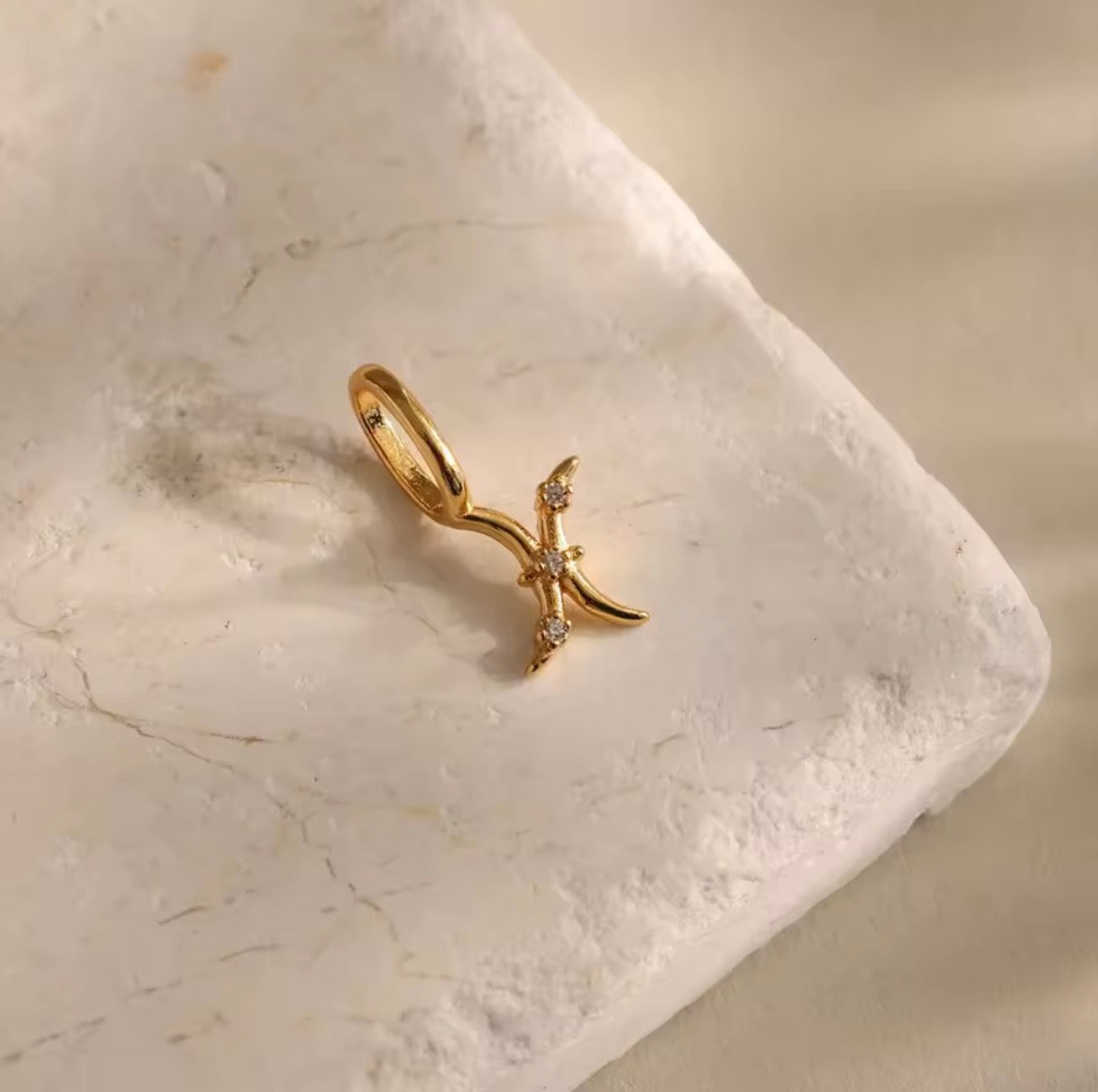 Zodiac Charm