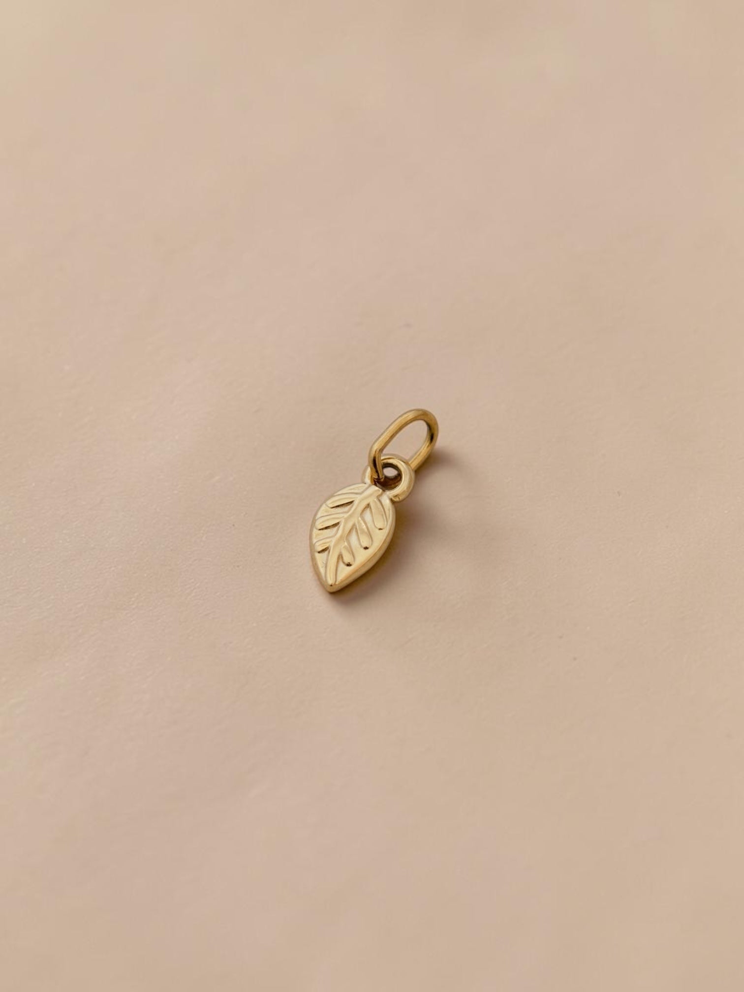 Little Leaf Charm