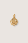 Starry Night Charm