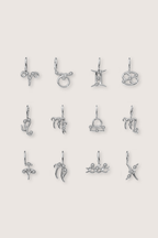 Zodiac Charm